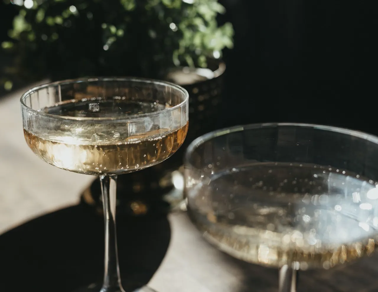 Dégustation de champagne à Reims : où et comment déguster