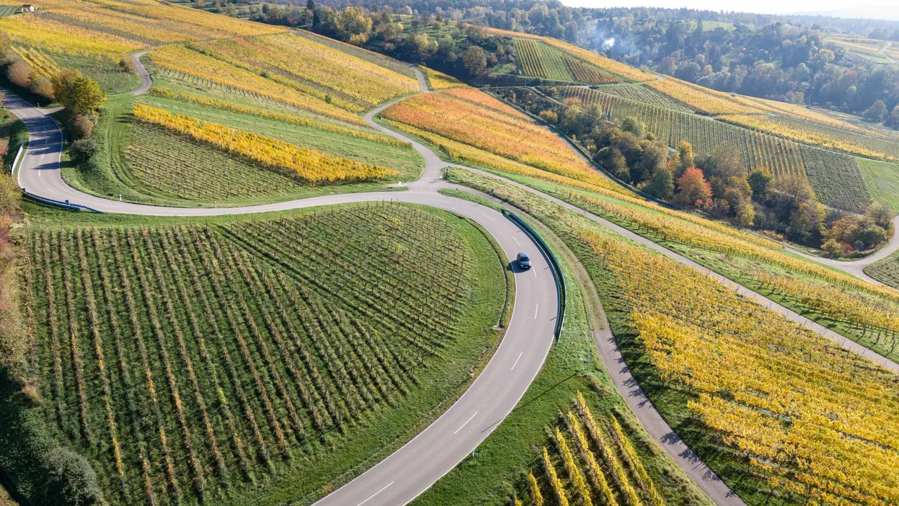Les routes touristiques du Champagne : 3 itinéraires à suivre