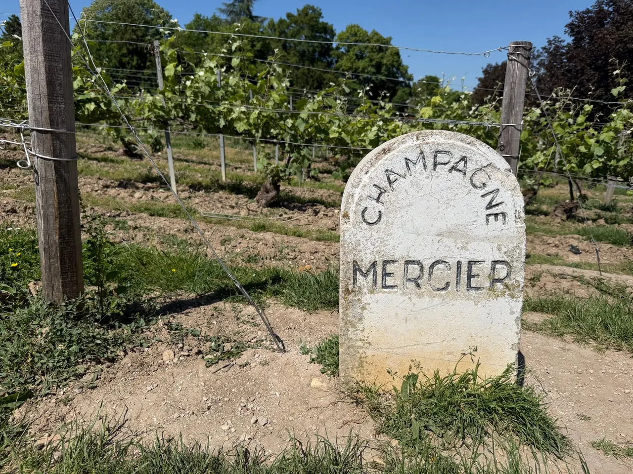 Week-end œnologie en Champagne : itinéraire de 2 jours Reims–Épernay